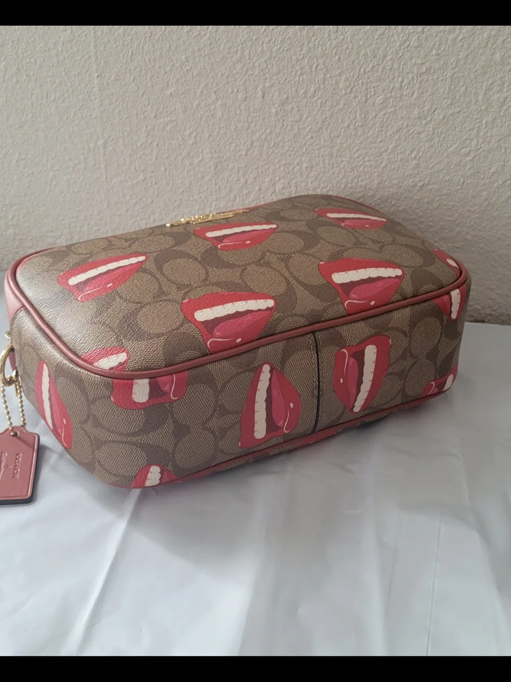 Coach X Tom Wesselmann Jamie Camera Bag